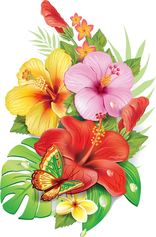 600x910 Free Pictures Of Tropical Flowers Png Files, Free Clip Art