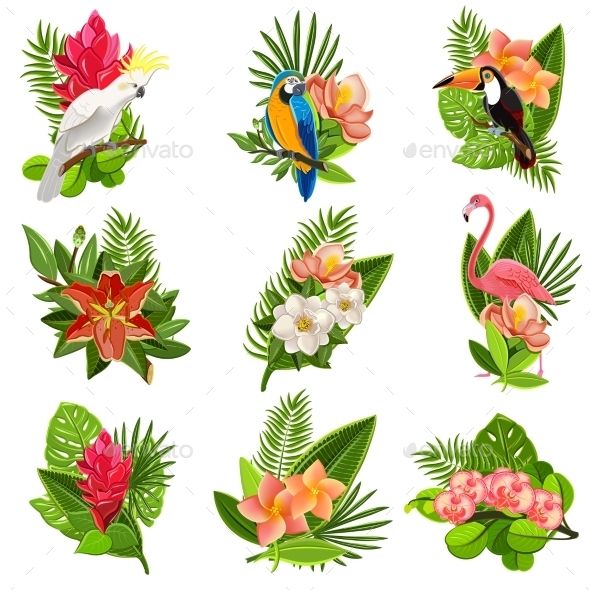 590x590 Kartinki Po Zaprosu Tropical Vector Free Download Tcvety