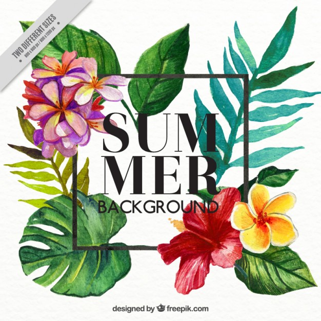 626x626 Orange Hawaiian Flower Clipart Free Clipart