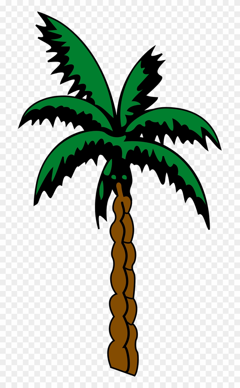 840x1360 Palm,plant,tree,palm Tree,tropical,free Vector Graphics,free