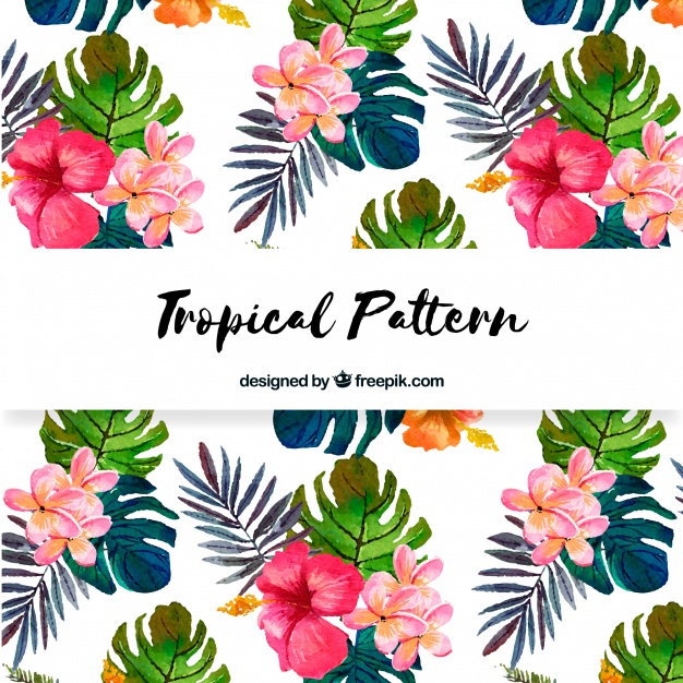 626x626 Tropical Flower Vector Pattern Free