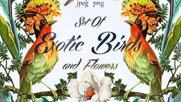 600x340 Tropical Vectors