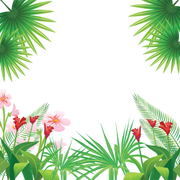 360x360 Tropical Vector, Free Download Tropic, Tropics, Tropical Plants