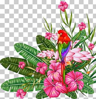 310x319 Tropical Vector Png Images, Tropical Vector Clipart Free Download