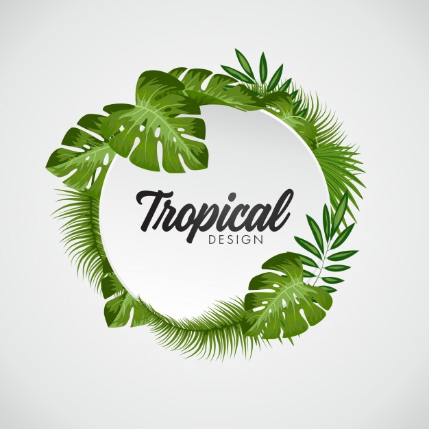 626x626 Tropical Vectors, Photos And Free Download