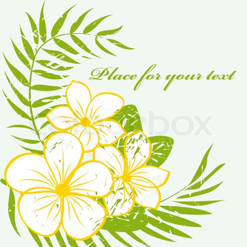 800x800 Tropical Flower Background Abstract Stock Vector Colourbox