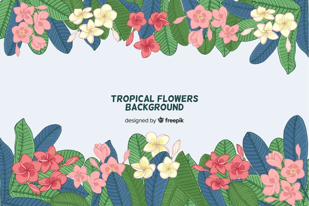 626x417 Tropical Flowers Background Free Vector