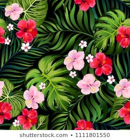 260x280 Tropical Vector Seamless Background Jungle Pattern With Flowers