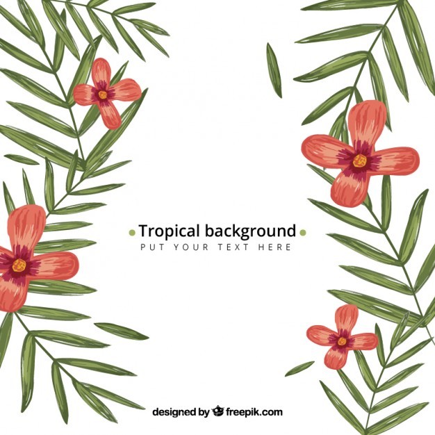 626x626 Hand Drawn Tropical Background Vector Free Download