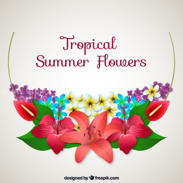 626x626 Vector Tropical Summer Flowers Background Free Download