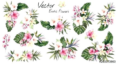 500x272 Royalty Free Vector Flowers