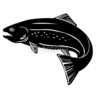 Trout Vector Free Images 400x400 Trout Vector Free Images