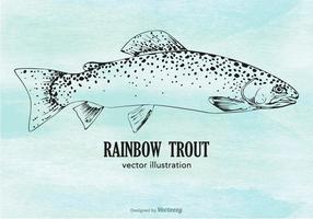 Rainbow Trout Free Vector Art 286x200 Rainbow Trout Free Vector Art