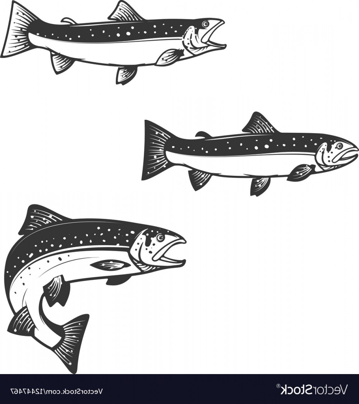 Set Of Trout Silhouettes Vector Soidergi 1153x1296 Set Of Trout Silhouettes Vector Soidergi
