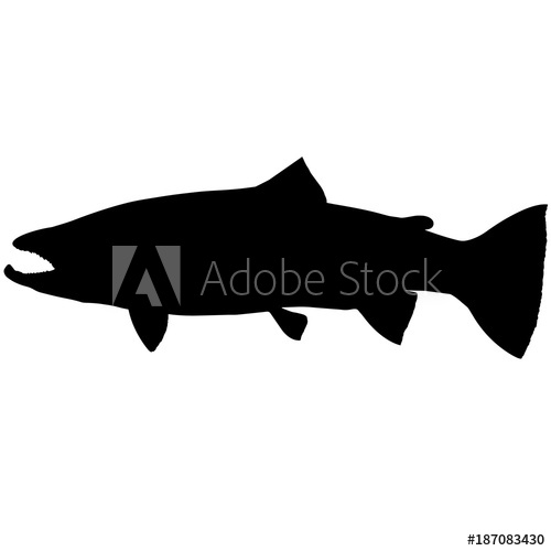 Steelhead Trout Silhouette Vector Graphics 500x500 Steelhead Trout Silhouette Vector Graphics