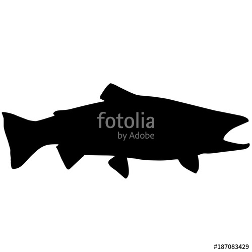 Steelhead Trout Silhouette Vector Graphics Stock Image 500x500 Steelhead Trout Silhouette Vector Graphics Stock Image