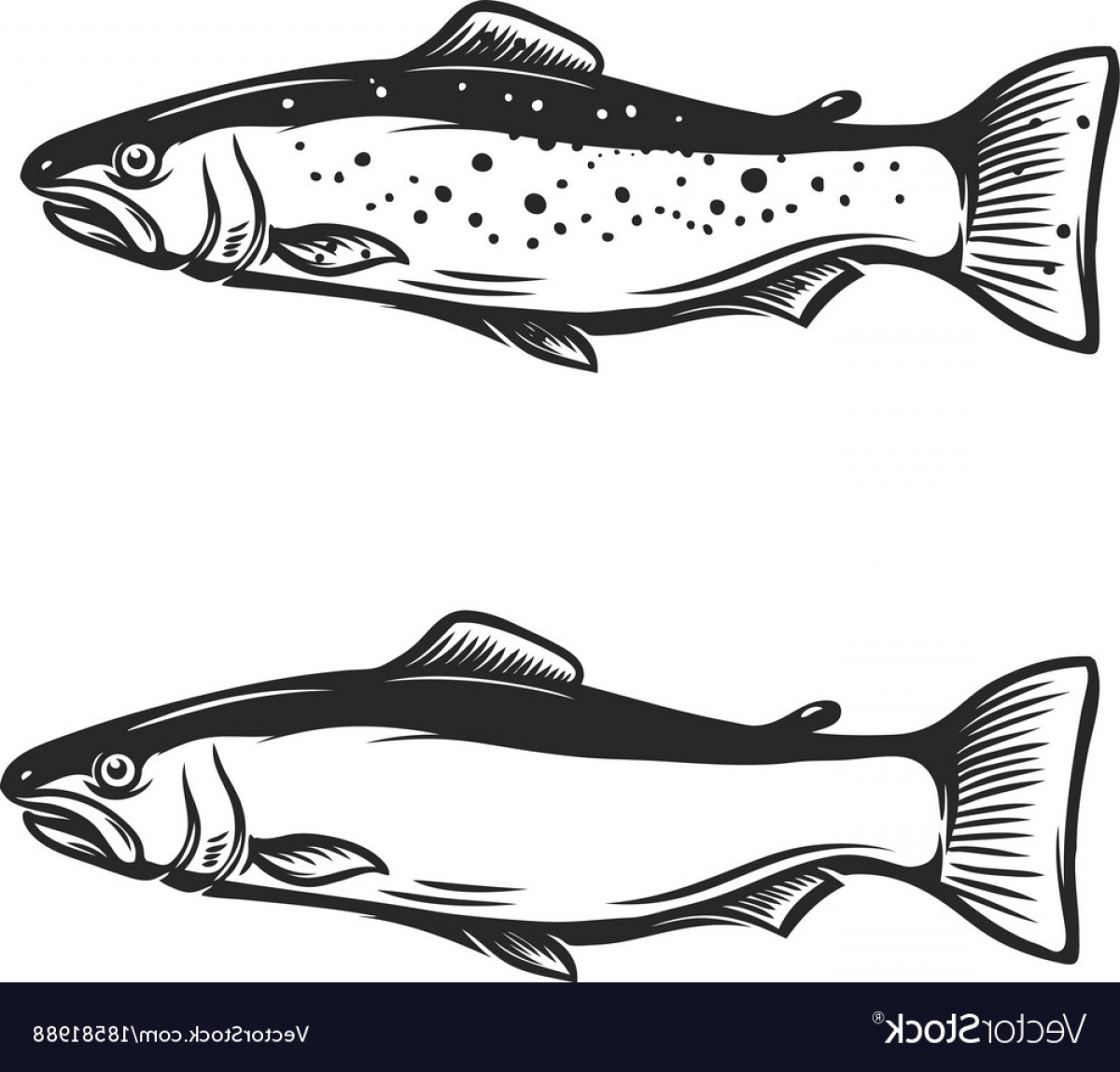 Trout Silhouette Vector Soidergi 1200x1148 Trout Silhouette Vector Soidergi