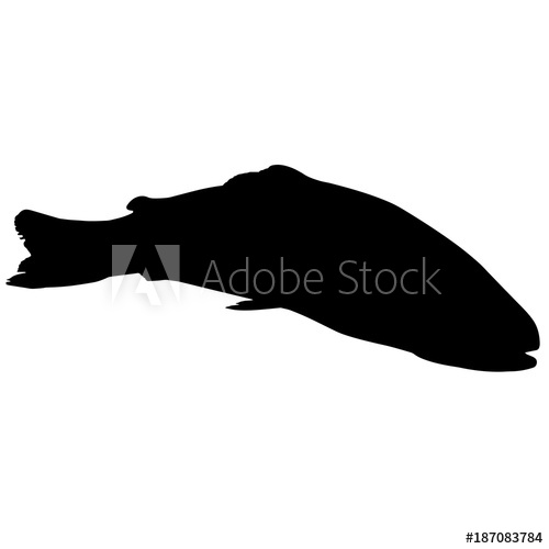 Trout Silhouette Vector Graphics 500x500 Trout Silhouette Vector Graphics