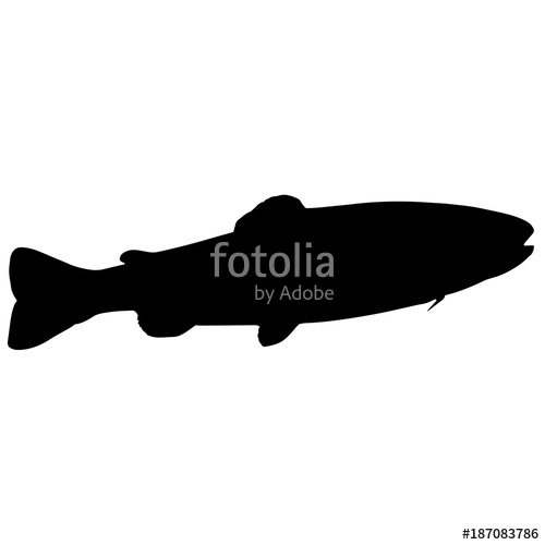 Trout Silhouette Vector Graphics Stock Image And Royalty Free 500x500 Trout Silhouette Vector Graphics Stock Image And Royalty Free