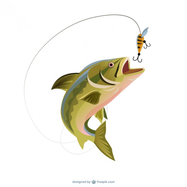 Fishing Trout Illustration Vector Free Download 626x626 Fishing Trout Illustration Vector Free Download