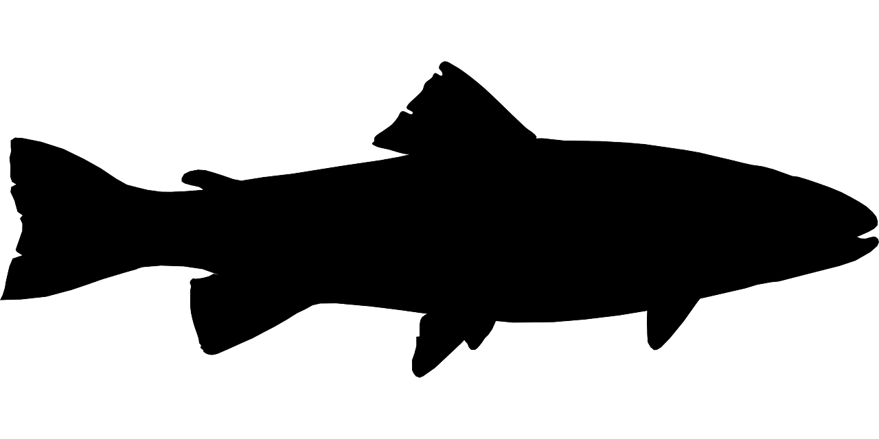 1280x640