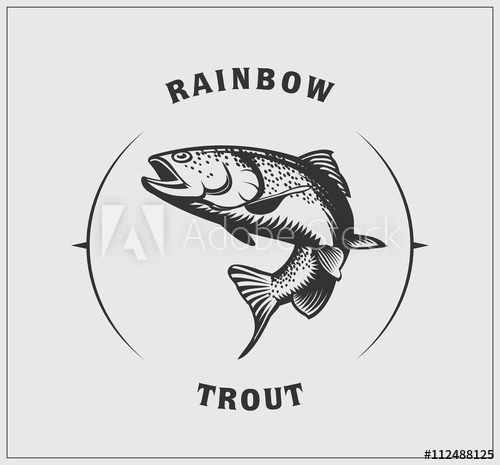 Illustration Of Rainbow Trout 500x465 Illustration Of Rainbow Trout