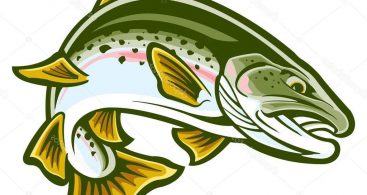 Jumping Trout Clip Art Archives Vector Images Design 367x195 Jumping Trout Clip Art Archives Vector Images Design