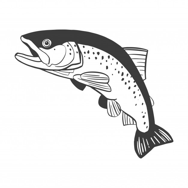 Trout Vector at Vectorified.com | Collection of Trout Vector free for ...