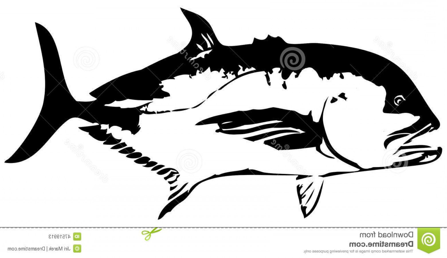 Saltwater Trout Vector Hoodamathrun 1560x902 Saltwater Trout Vector Hoodamathrun