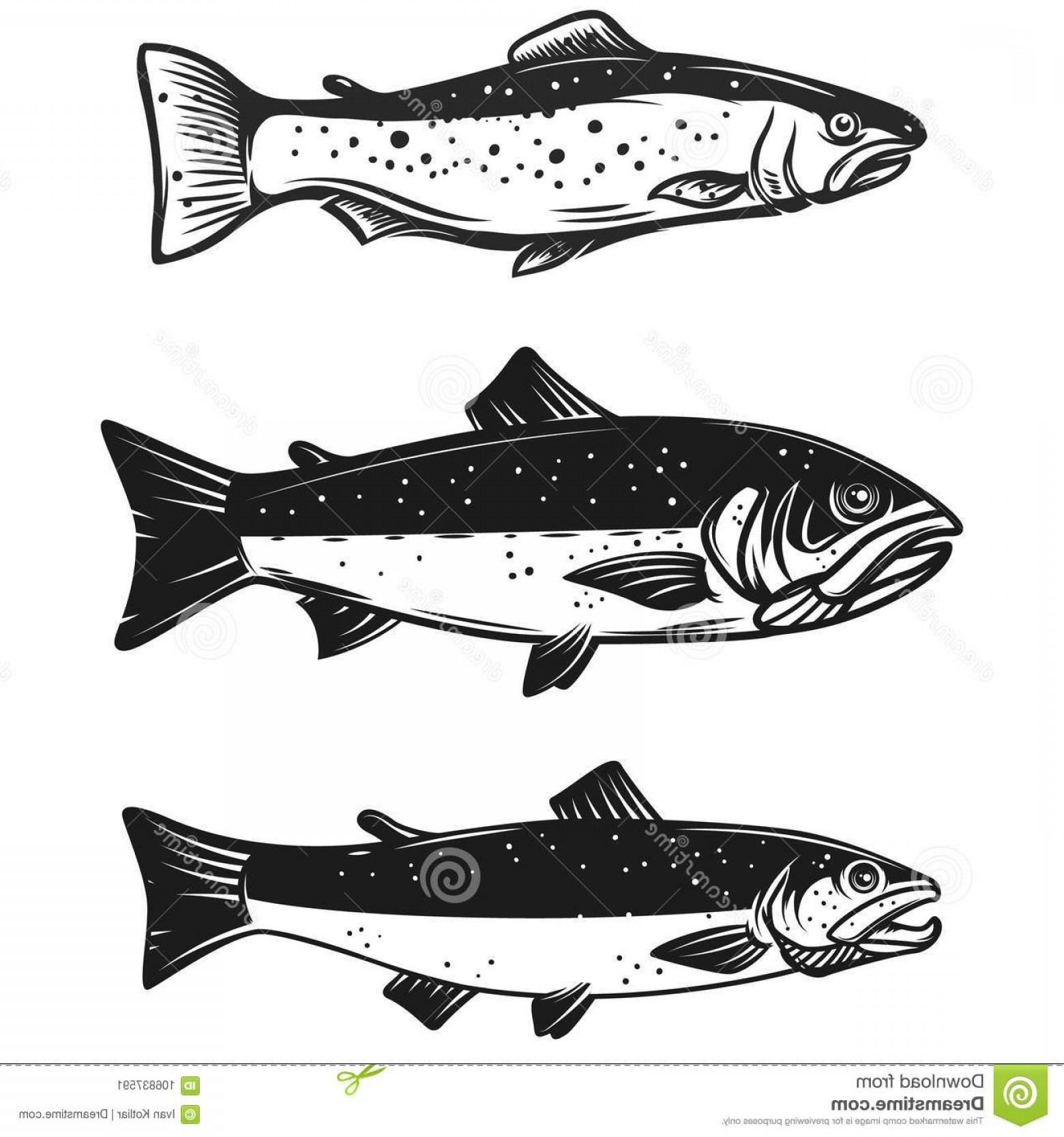 Set Trout Fish Illustration Isolated White Background Design 1560x1668 Set Trout Fish Illustration Isolated White Background Design