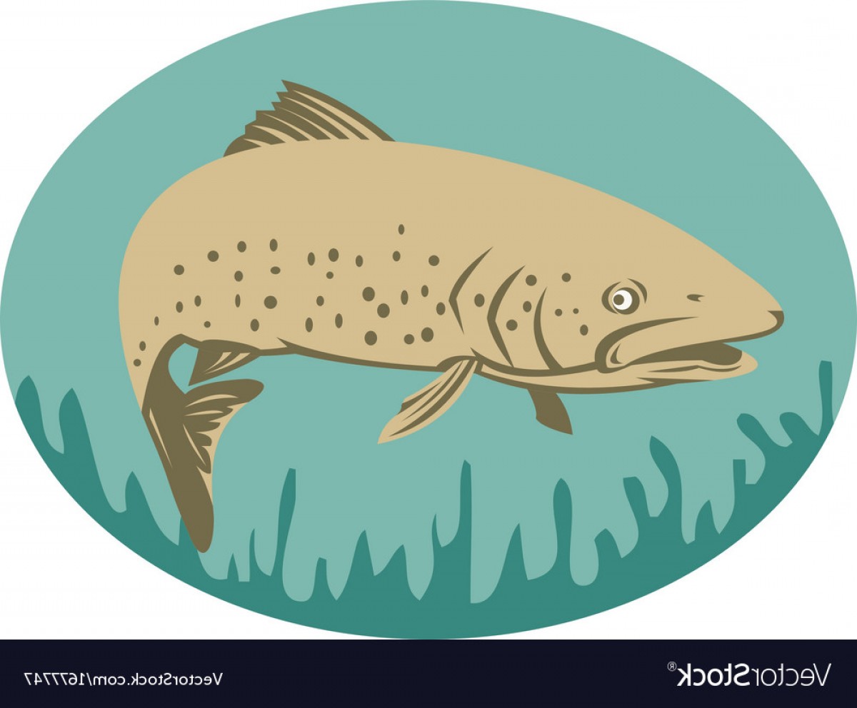 Trout Vector at Vectorified.com | Collection of Trout Vector free for ...