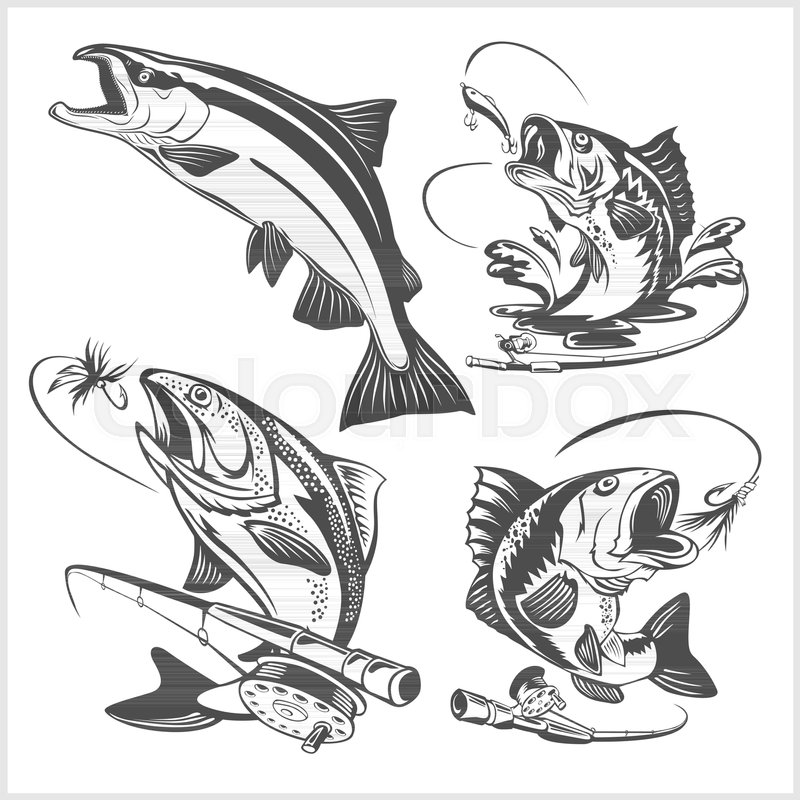 Vintage Trout Fishing Emblems And Stock Vector Colourbox 800x800 Vintage Trout Fishing Emblems And Stock Vector Colourbox