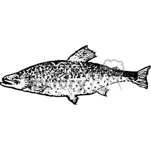Vintage Distressed Brook Trout Fish Gf Vector Design Vintage 300x300 Vintage Distressed Brook Trout Fish Gf Vector Design Vintage