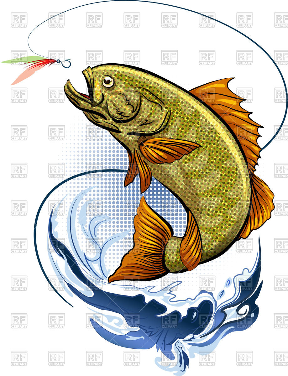 Fishing Trout 919x1200 Fishing Trout