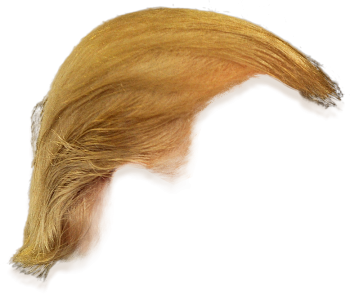 700x589 Donald Trump Hair Png Transparent Vector, Clipart