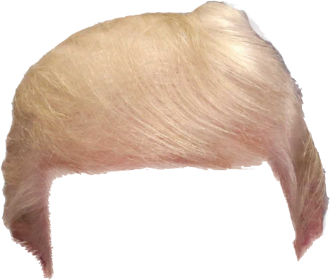 469x399 Download Support Trump Share The Hair Vector Transparent Download