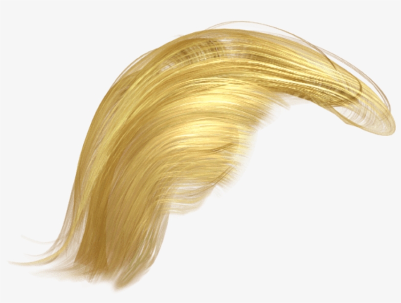 820x619 Trump's Hair Png
