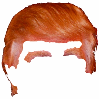320x320 Trump Hair Png, Backgrounds And Vectors Free Download