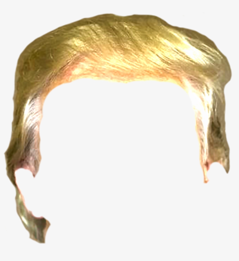 820x894 Trump Hair Png
