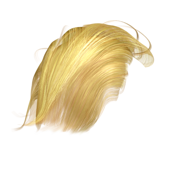 600x600 Trump Hair Transparent Png Vector, Clipart