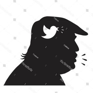 300x300 Donald Trump Silhouette Social Media Icon Cultracing