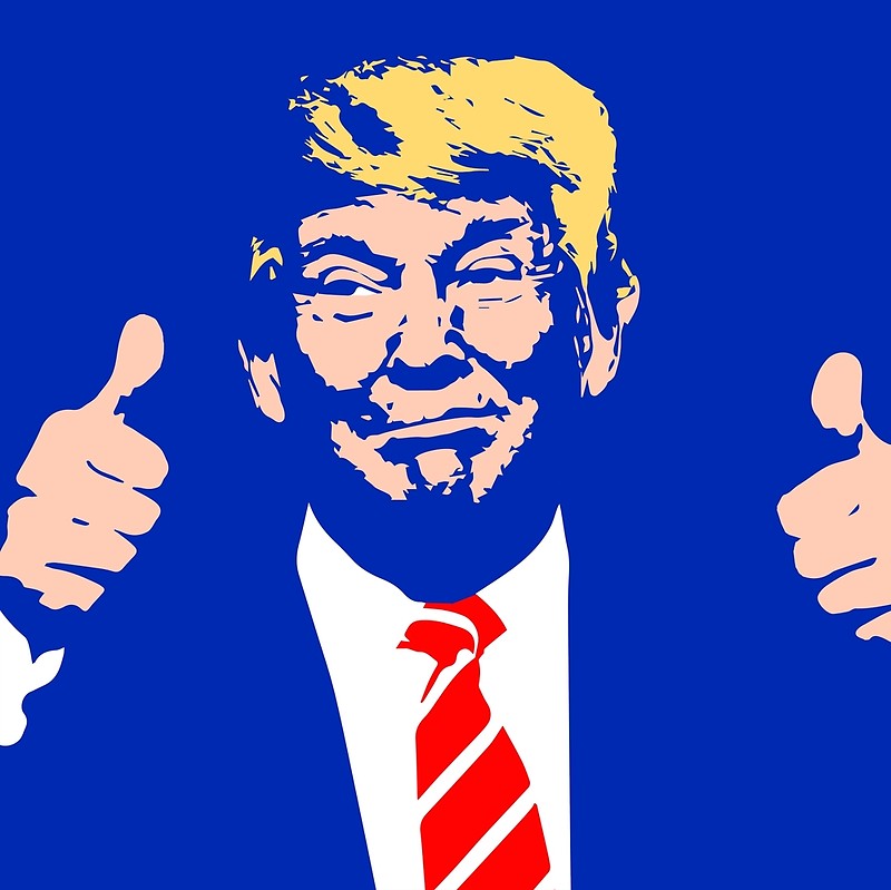 800x799 Trump Vector Art Print