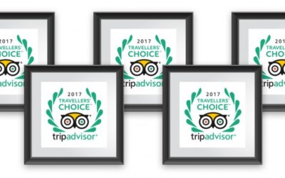 Promoting Your Travelers' Choice Award For Destinations 400x250 Promoting Your Travelers' Choice Award For Destinations