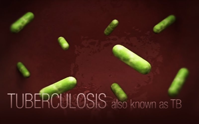 800x500 How Tb Spreads Basic Tb Facts Tb Cdc