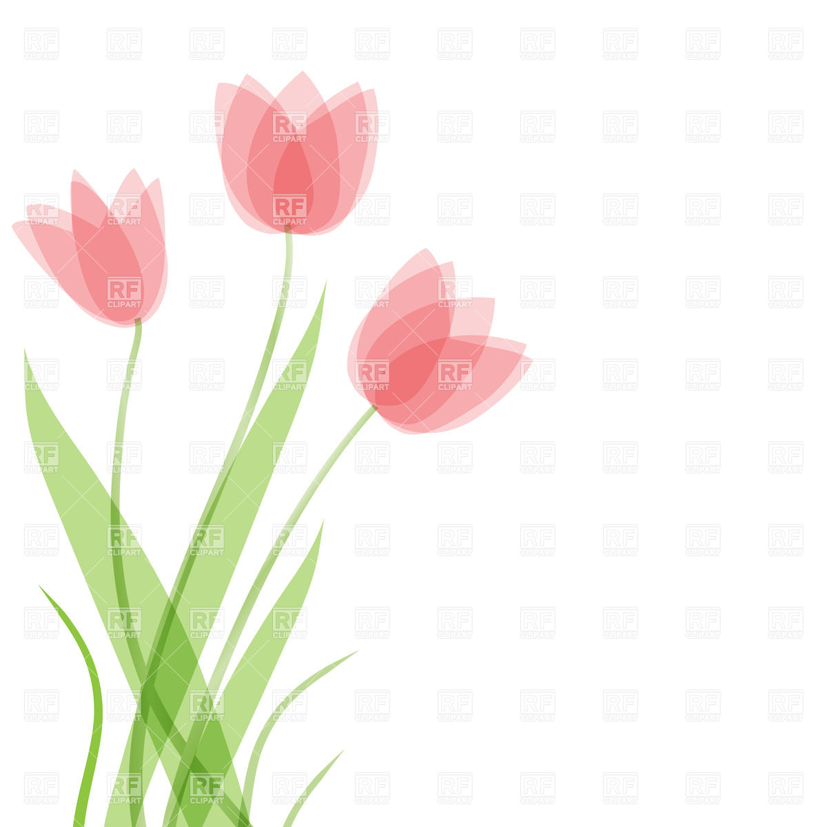 1200x1200 Three Tulip Flowers Vector Image Of Plants And Animals Mcherevan