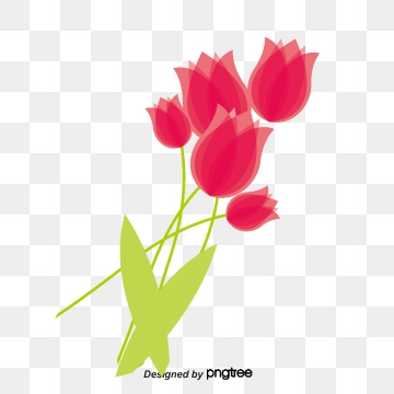 360x360 Tulip Vector, Graphic Resources For Free Download