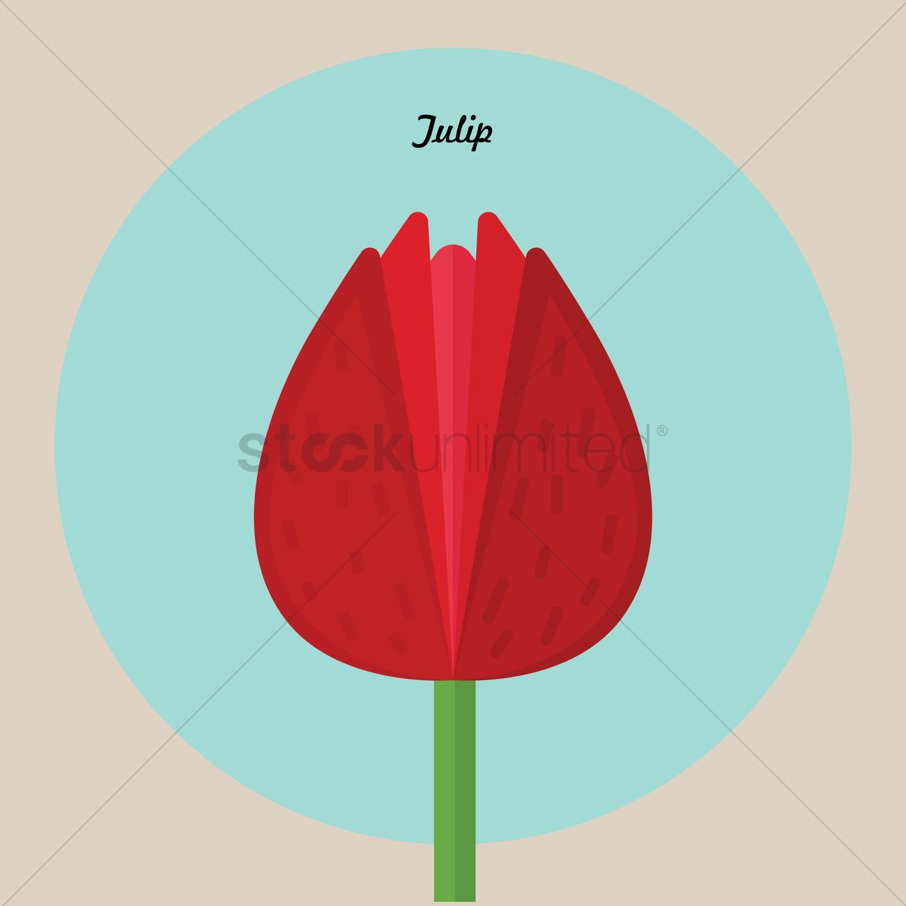 1300x1300 Tulip Flower Vector Image