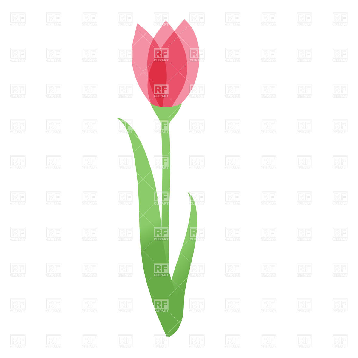 1200x1200 Tulip Flower Vector Image Of Plants And Animals Mcherevan