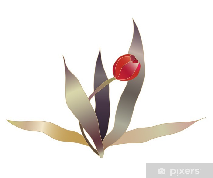 700x586 Red Tulip Flower Vector Sketch Wall Mural
