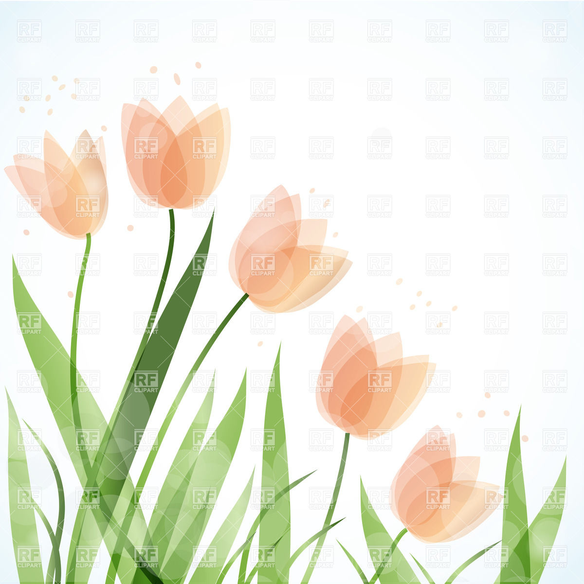 1200x1200 Simple Tulip Flowers Vector Image Of Plants And Animals